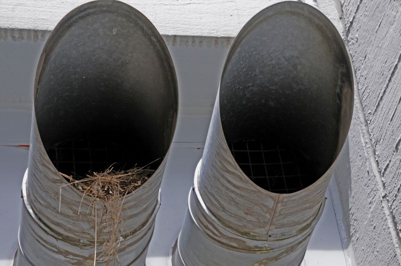 Bird Nests In Vents And Eaves: Why Safe Removal And Prevention Are Important