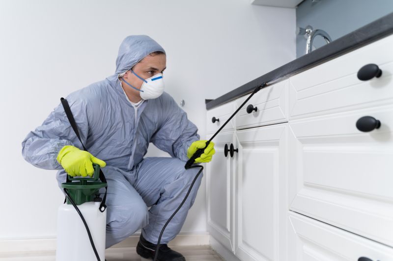 Mites Extermination in Frisco, TX
