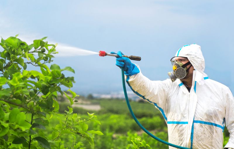 Pest Fumigation Service in Long Island, NY