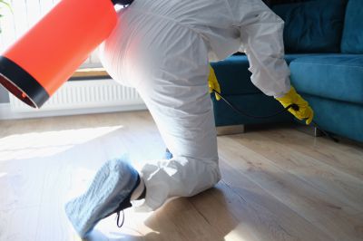 Spider Fumigation Service in Woodbridge, VA