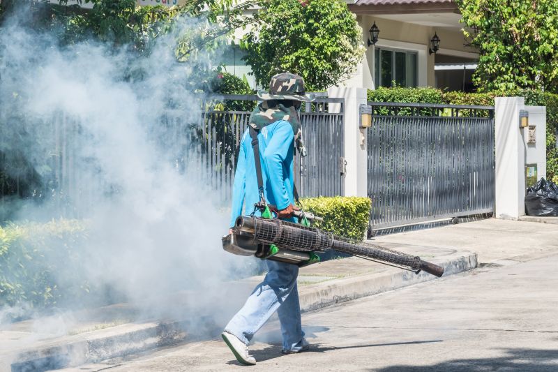 Spider Fumigation Service in Asheville, NC