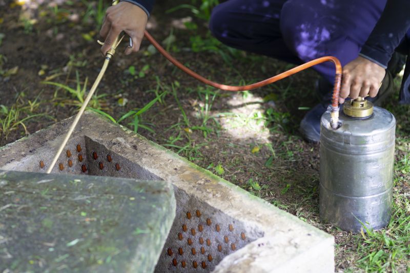 Spider Fumigation Service in Myrtle Beach, SC