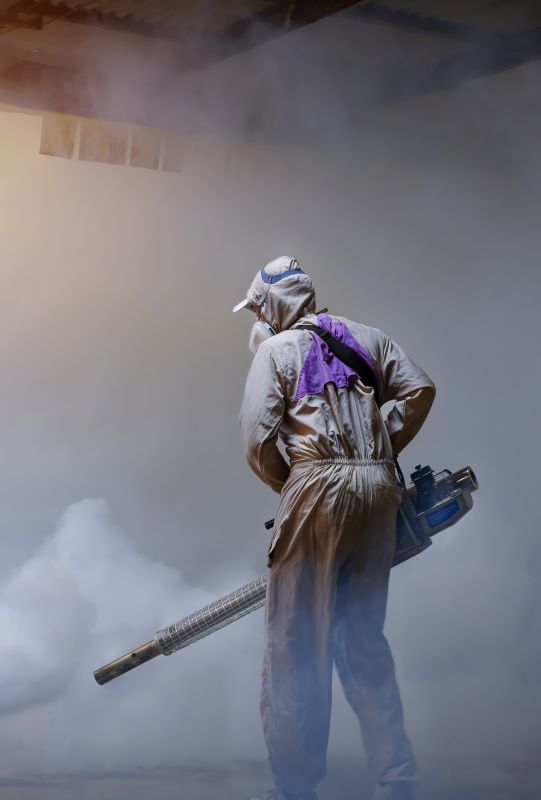 Roach Fumigation in Fredericksburg, VA